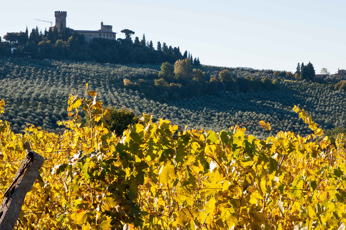 DOCG Chianti colli Fiorentini 'Montebetti' 2021
