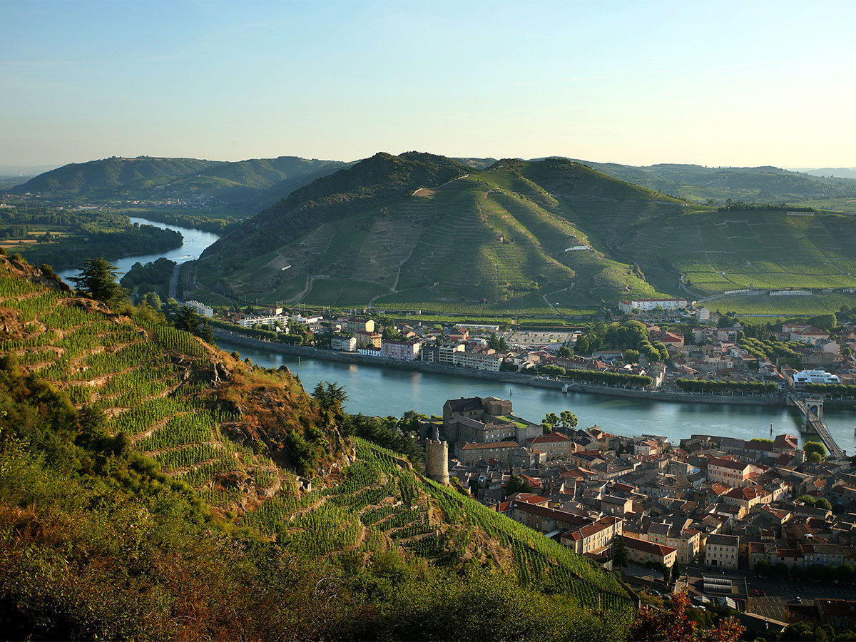 Crozes-Hermitage 'Friandise' 2022