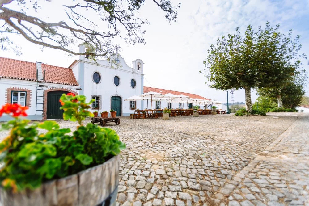 Lisboa branco 2023, Quinta do Monte d'Oiro