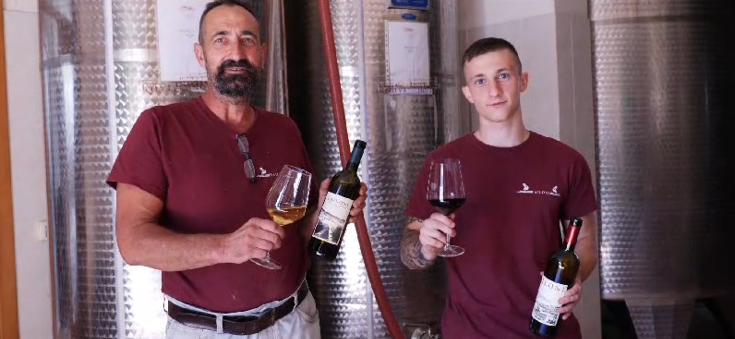Verdicchio dei Castelli di Jesi 2023, Failoni