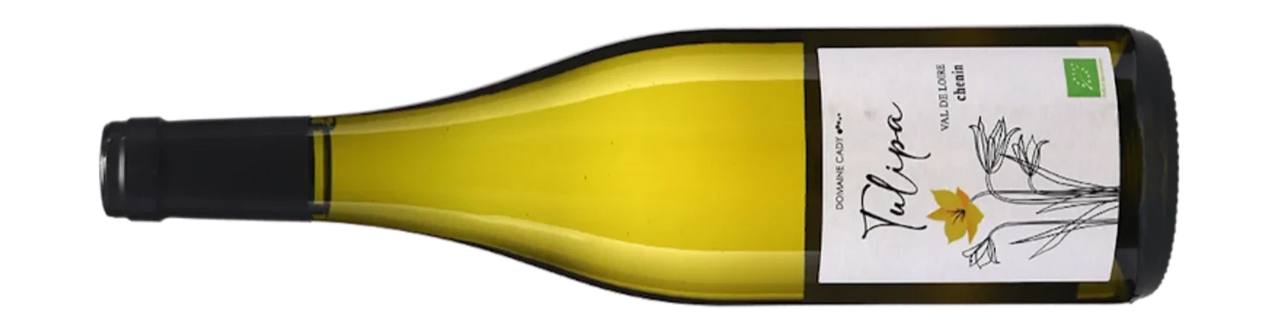 Anjou 'Tulipe' 2023