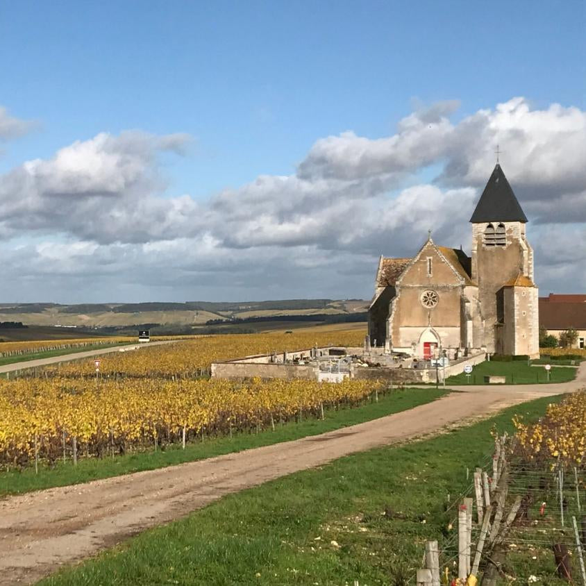 Bourgogne Chardonnay 2022, Vincent Wengier