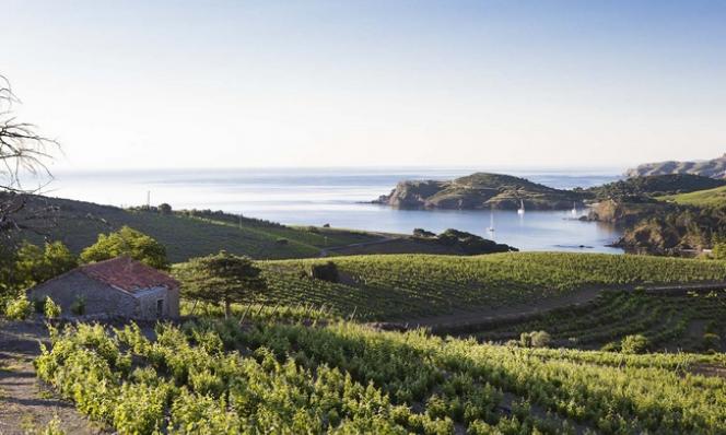Côtes Catalanes 'Argila' 2023