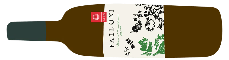 Verdicchio dei Castelli di Jesi 2023, Failoni