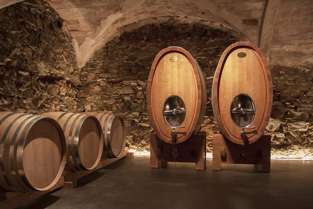 Montsant 'Volador Tinto' 2022