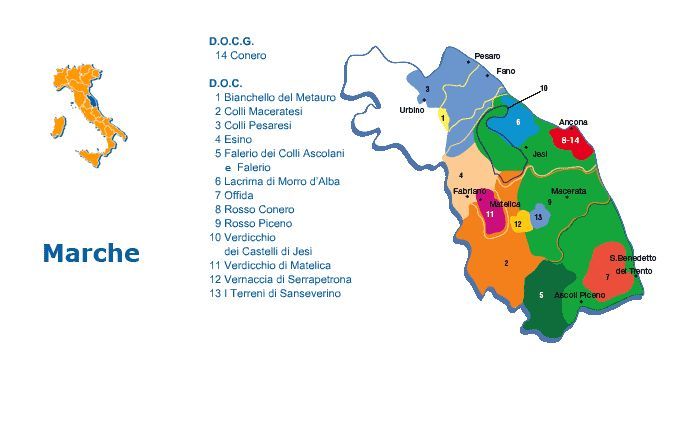 Rosso Piceno 'Tarà' 2023