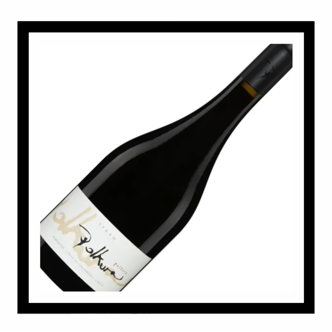 SAQ Syrah ‘Polkura’2021, Agricola La Vina, Valle de Rappel, Chili