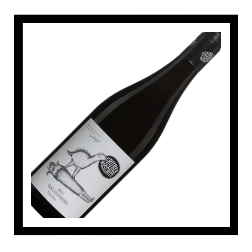 SAQ Pinot Noir ‘Ried Galgenberg’ 2022, Gruber Röschitz, Autriche