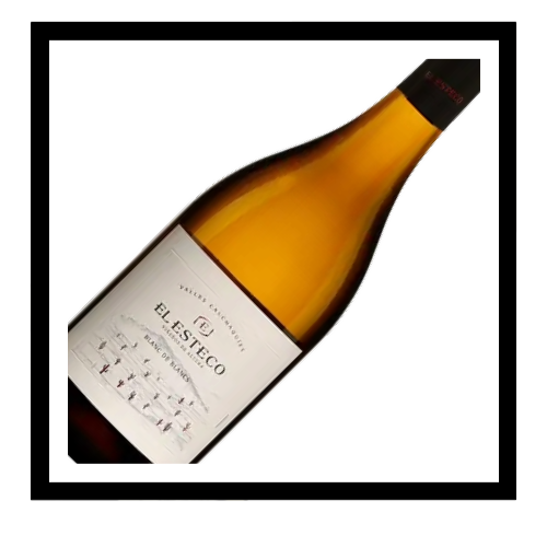 SAQ Blanc de Blancs ‘El Esteco’ 2022, Valles Calchaquíes, Argentine