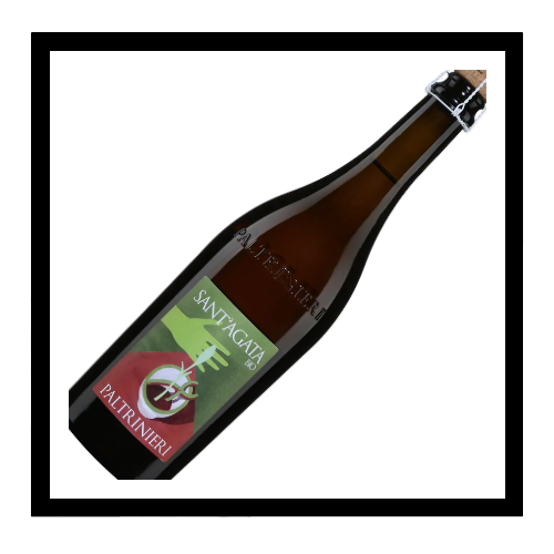 SAQ Lambrusco di Sorbara ‘Sant’Agata’ 2023, Paltrinieri, Émilie-Romagne