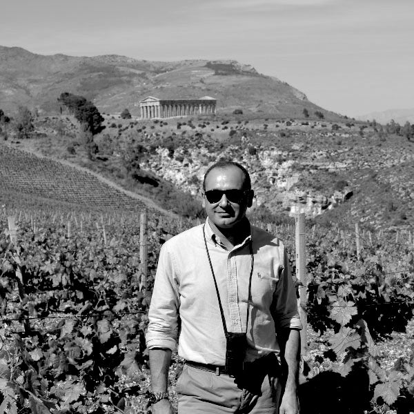 Terra Madre Perricone 2021