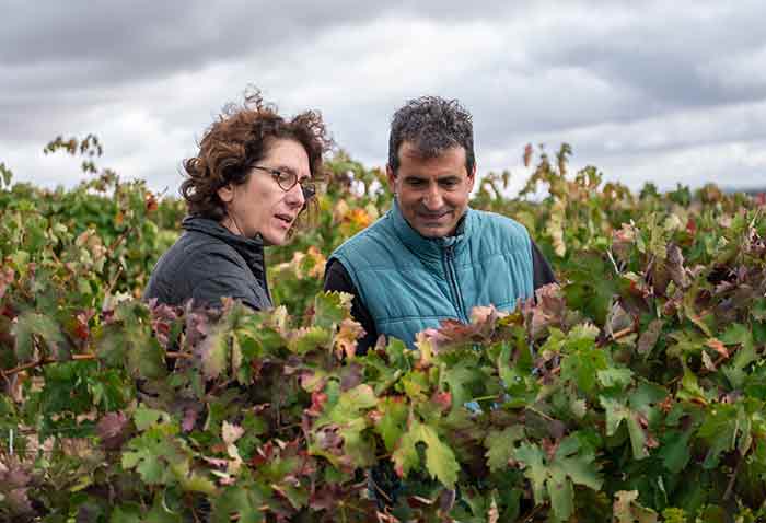 Ribera del Duero 'Costalara' 2020