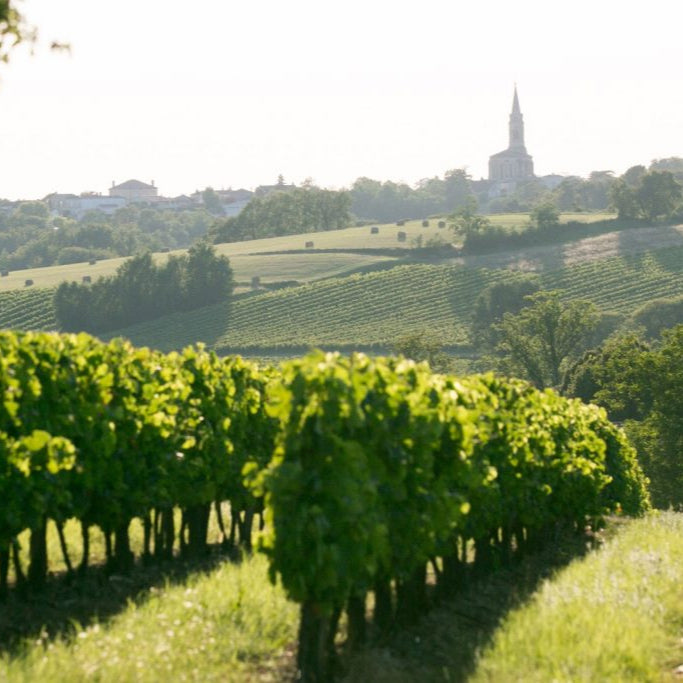 Blaye blanc 'Les Pierrières' 2022