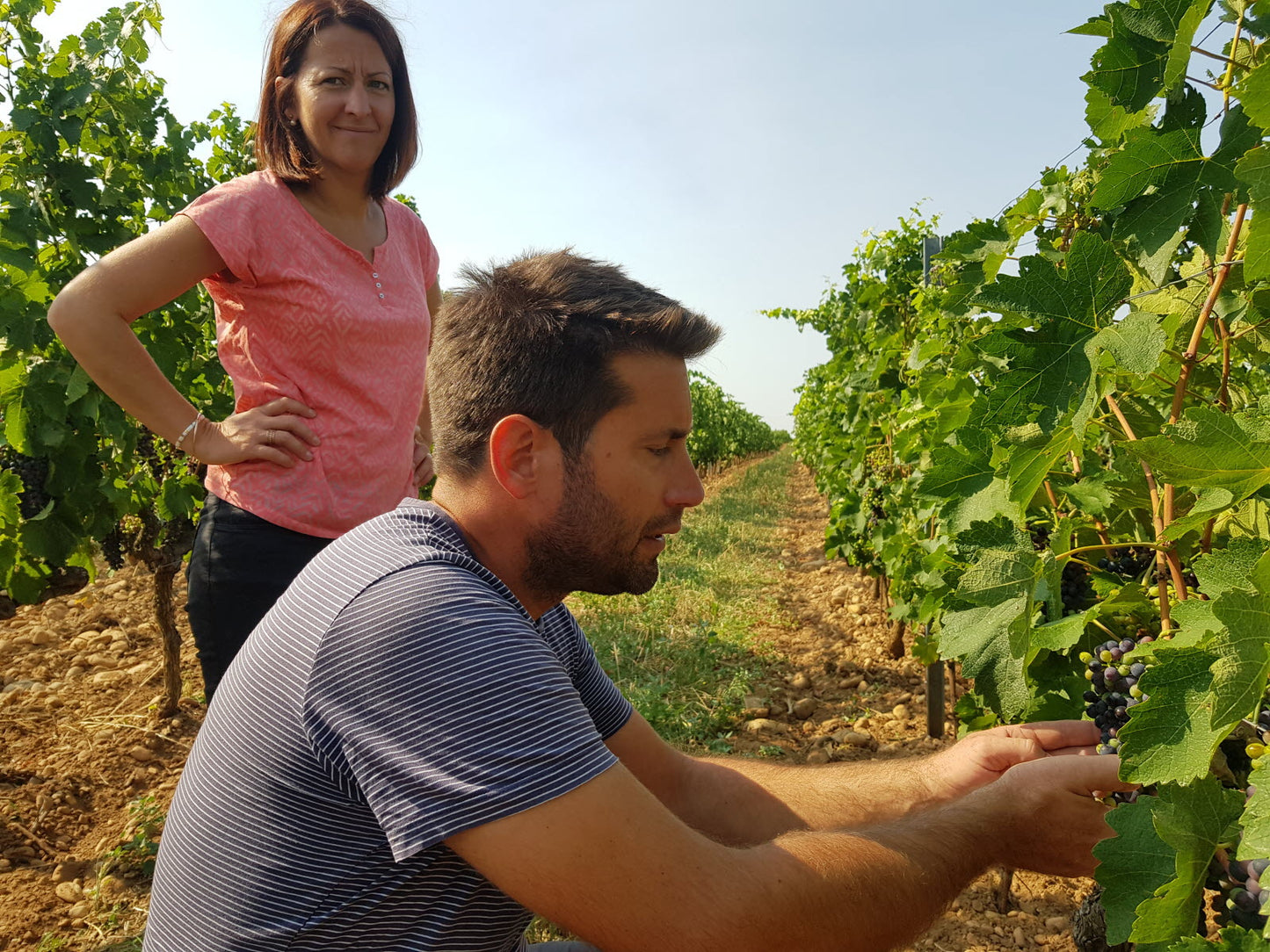 Crozes-Hermitage 'Friandise' 2022