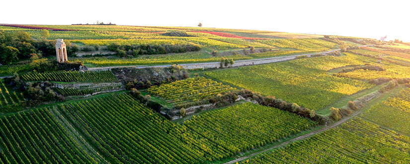 Blanc de Noir 2023, Weingut Schwedhelm