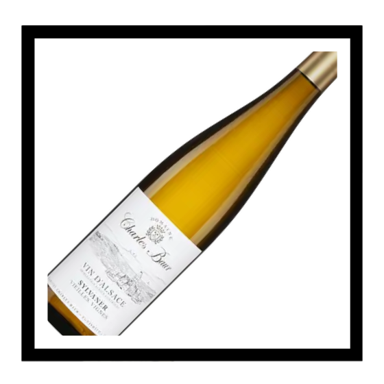 SAQ Sylvaner ‘Vieilles Vignes’ 2024, Domaine Charles Baur