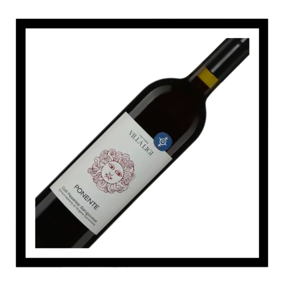 SAQ Colli Pesaresi doc ‘Ponente’ 2024, Fattoria Villa Ligi, Marches, Italie