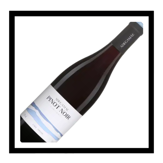SAQ Lisboa do ‘Pinot Noir’ 2021, AdegaMãe