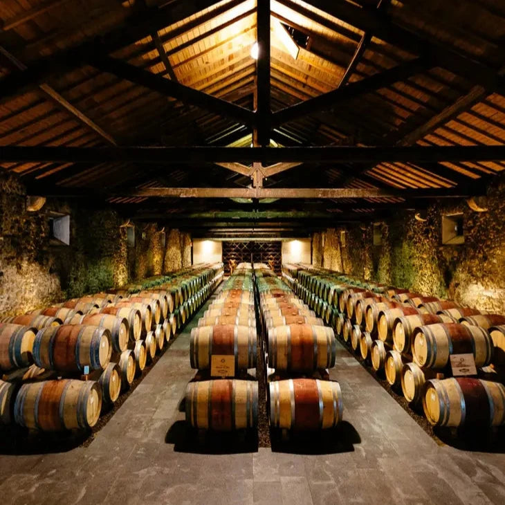 Lisboa branco 2023, Quinta do Monte d'Oiro