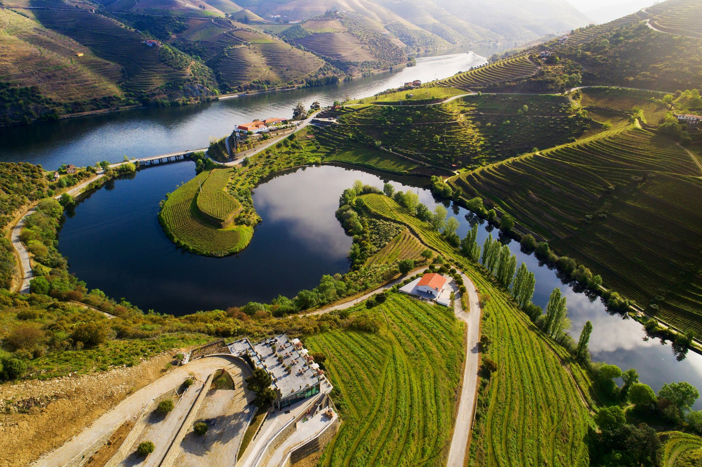 Douro DOC Branco 2023, Quinta do Pesseigueiro