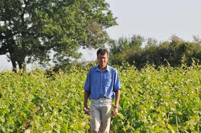 IGP Côtes de Thongue 'Carignan Vieilles Vignes' 2023
