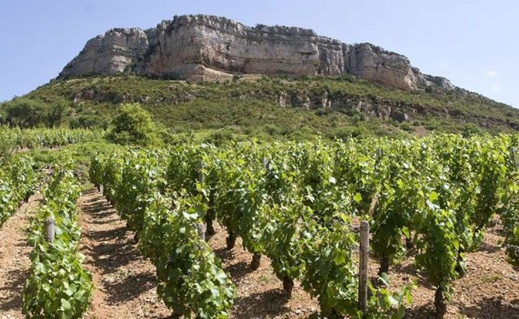 Saint-Véran 'Tradition' 2023