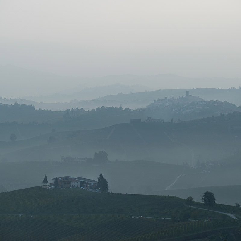 Langhe DOC 'Mesdi Rosato' 2024