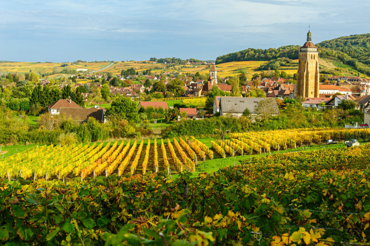 Arbois Mouchet 2019