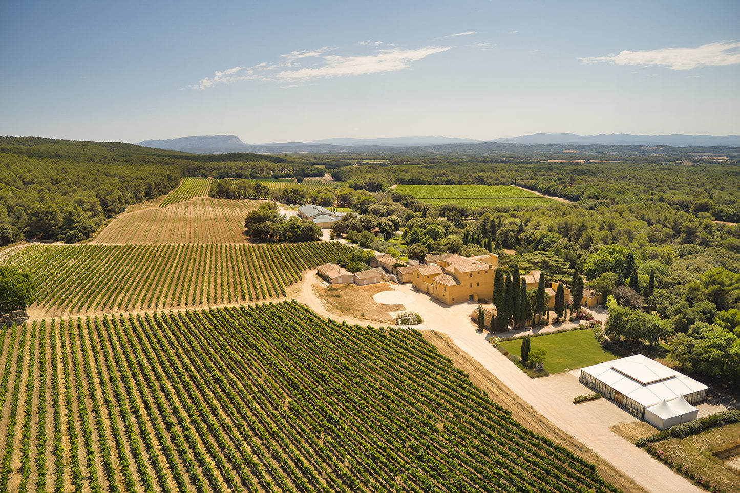 Auro Rousso blanc 2024