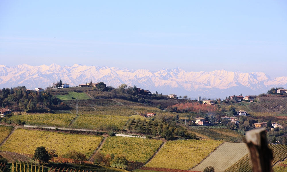Piemonte DOC Albarossa 'Macchiaferro' 2019
