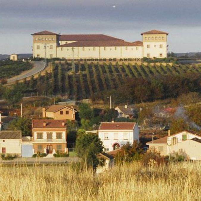 Ribera del Duero 'Costalara' 2020