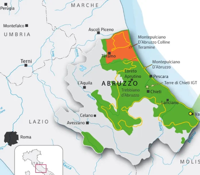 Trebbiano d'Abruzzo 'Altare' 2023