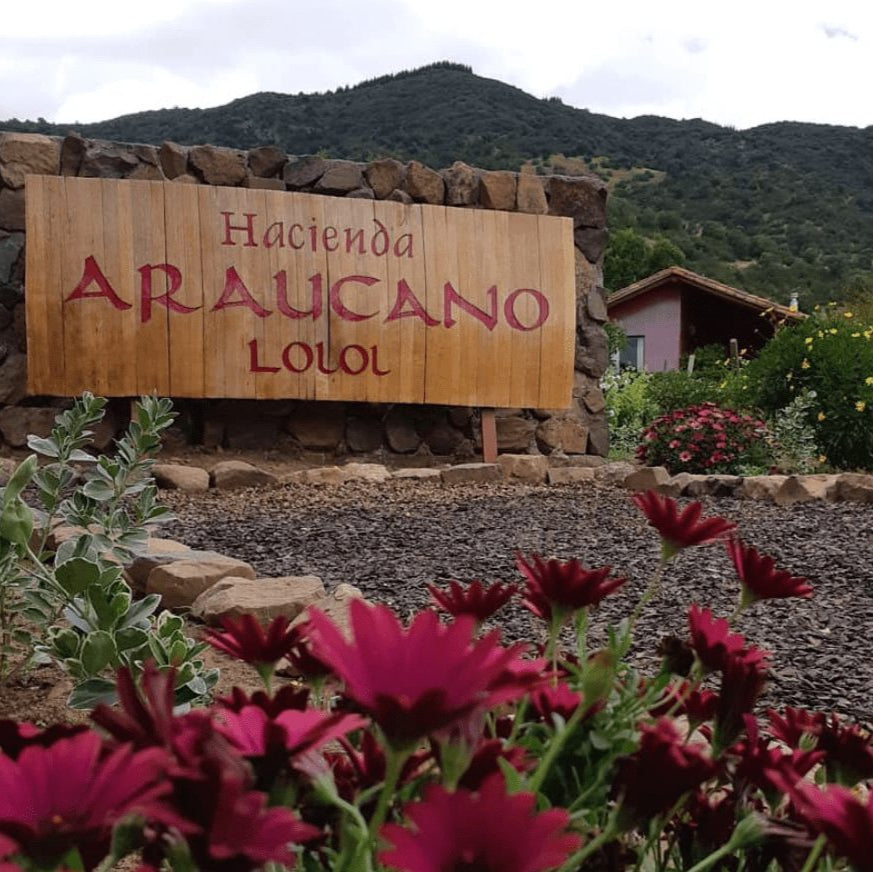 L'Atelier 'Naranjo Humo Blanco' 2022