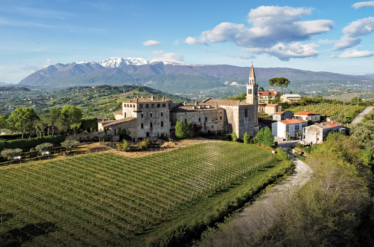 Trebbiano d'Abruzzo 'Altare' 2023