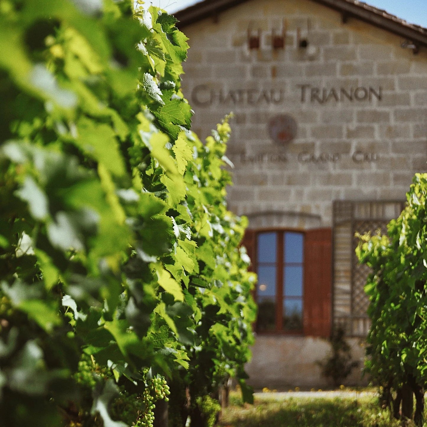 Bordeaux blanc 2023, Pavillon de Trianon