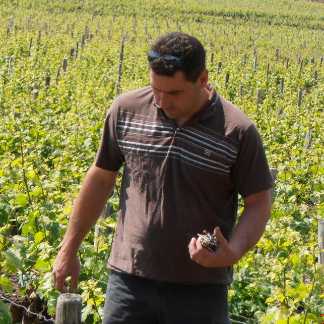 Bourgogne 'La Croix des Batailles' 2022