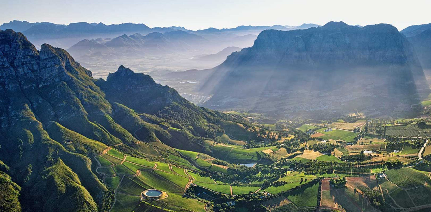 WO Stellenbosch 'Veld Vesnit' 2022