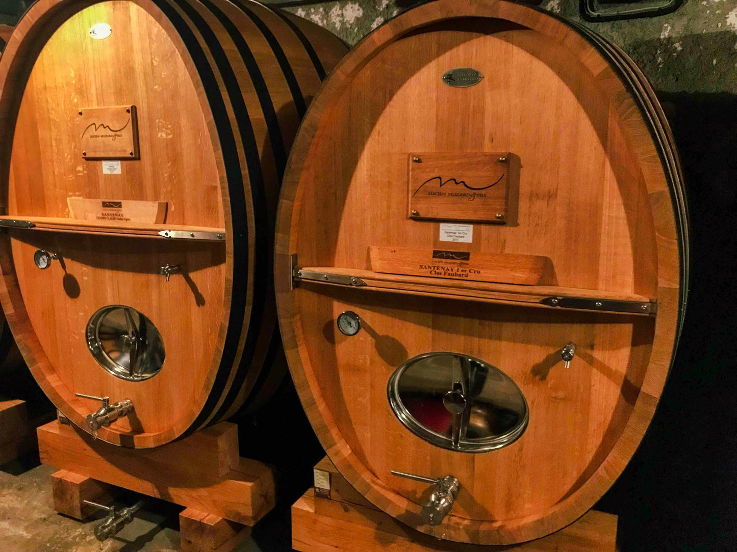 Bourgogne 2023, Domaine Lucien Muzard & Fils