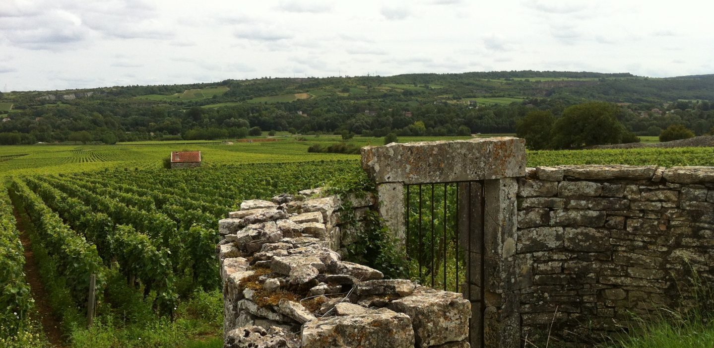 Bourgogne 2023, Domaine Lucien Muzard & Fils