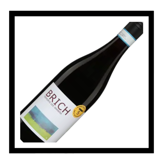 SAQ Piemonte doc Barbera Brich 2025, Agricola Gaia