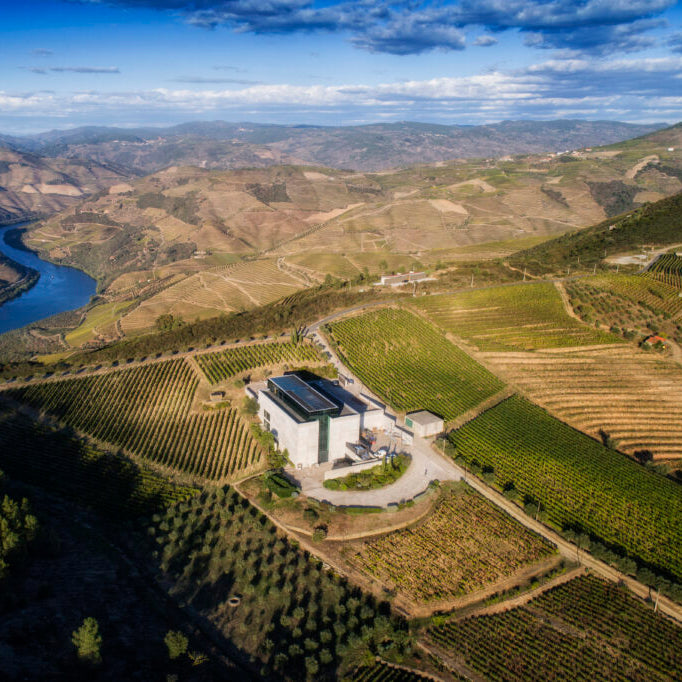 Douro DOC Branco 2023, Quinta do Pesseigueiro