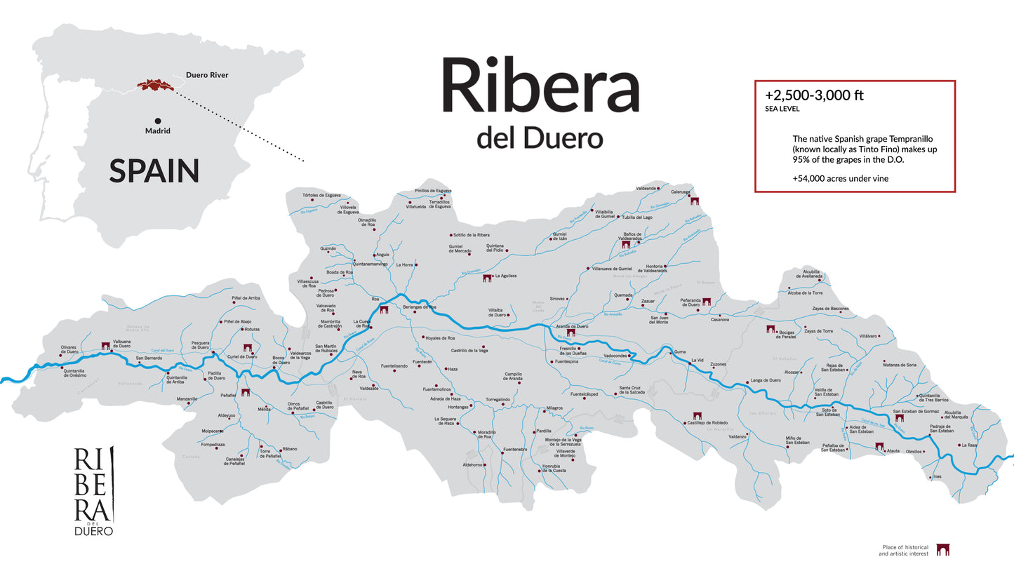 Ribera del Duero 'Costalara' 2020