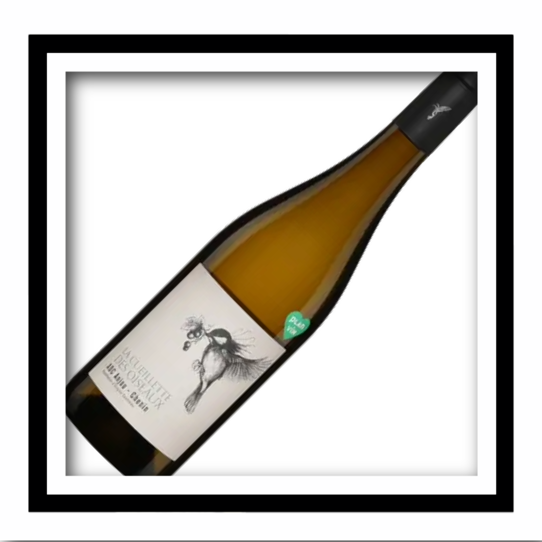SAQ Anjou ‘Chenin La Cueillette des Oiseaux’ 2023, Le Fief Noir