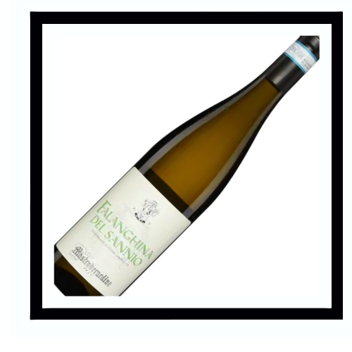 SAQ Falanghina del Sannio doc 2024, Mastroberardino