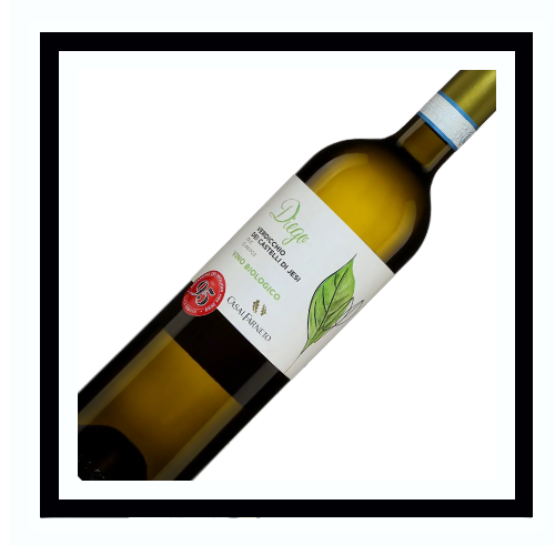 SAQ Verdicchio dei Castelli di Jesi Classico ‘Diego’ 2024, Casal Farneto