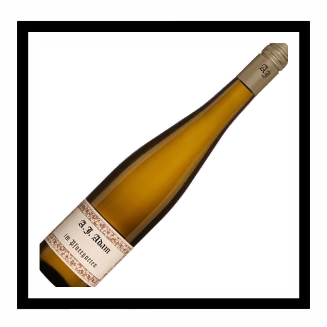 SAQ Riesling Feinherb ‘im Pfarrgarten’ 2024, Weingut AJ Adam, Mosel