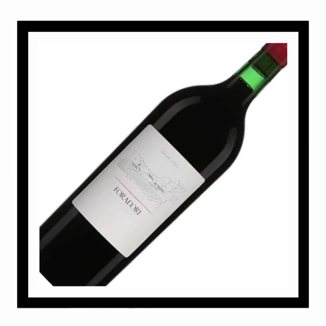 SAQ Vigneti delle Dolomiti IGT Teroldego 2023, A. A. Foradori Magnum