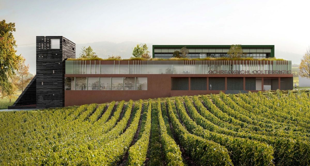Alto Adige 'Cora Pinot blanc' 2024