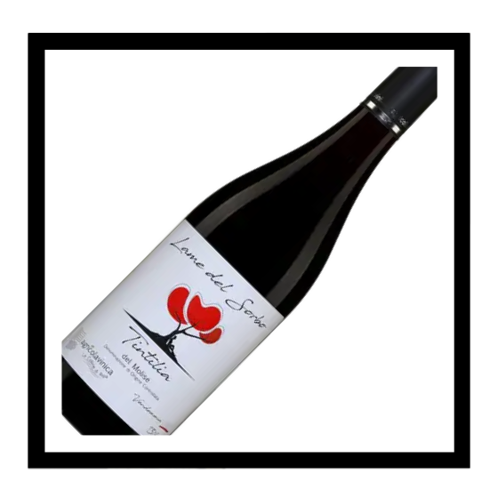 Tintilla del Molise doc ‘Lame del Sorbo’ 2022, Agricolavinica