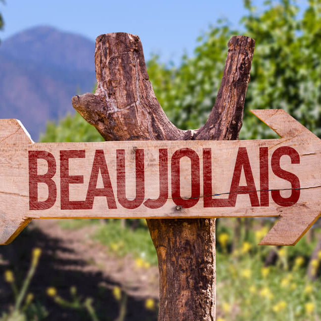 Beaujolais 'Le Ronsay' 2023